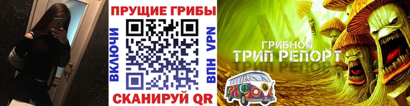 Псилоцибиновые грибы GOLDEN TEACHER  Набережные Челны 
